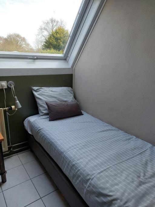 Boszicht 2 Appartement In אוסטקאפלה מראה חיצוני תמונה